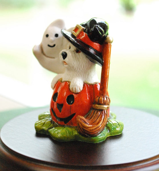 Miniature Westie In Halloween Pumpkin