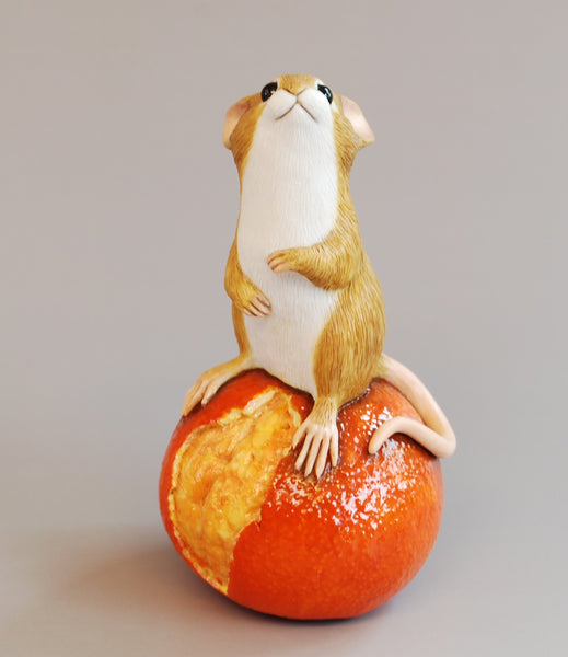 Mouse on Orange