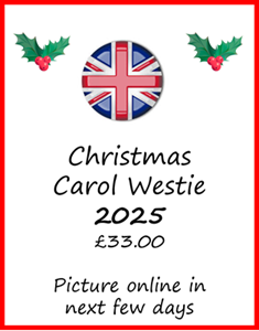Christmas Carol Singer 2025