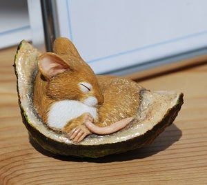 A small sleeping field mouse figurine curled up inside a conker shell, displayed on a rustic wooden surface with a softly blurred indoor scene in background.