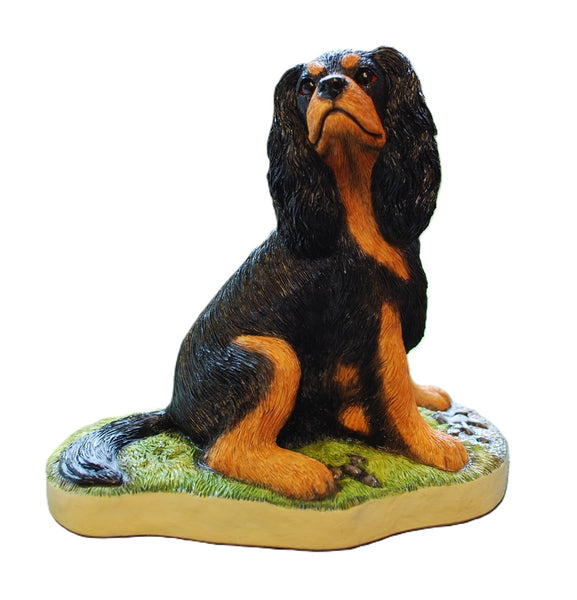 Black and Tan Cavalier King Charles Spaniel