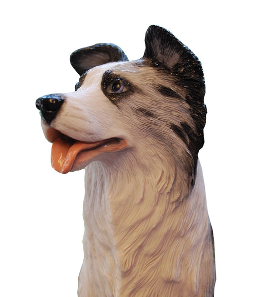 Blue Merle Border Collie Sculpture  - 6 Inch High - Border Collie Figurine