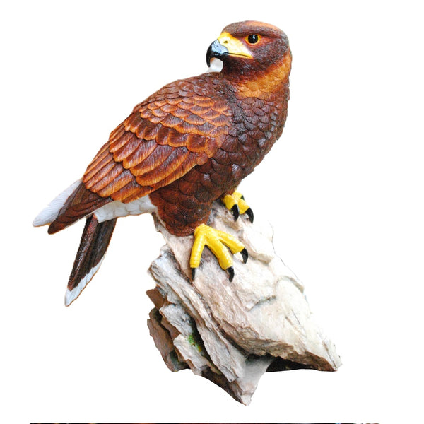 Harris Hawk Sculpture