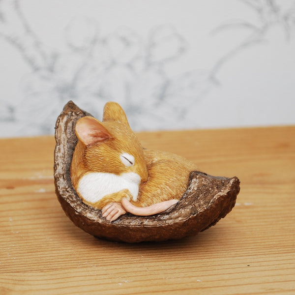 Sleeping Mouse In Conker Shell - Size 1 3/4in high