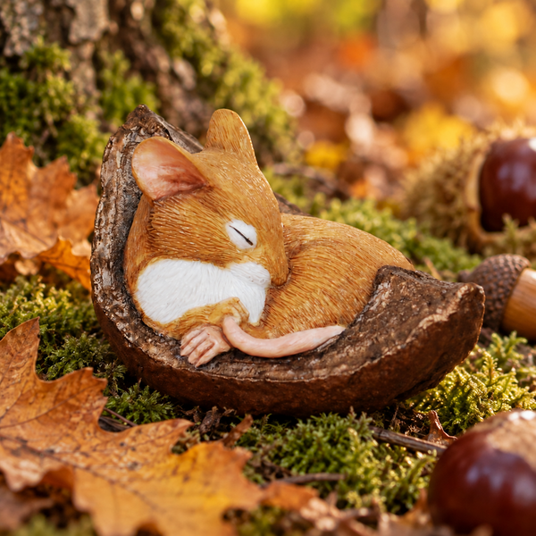Sleeping Mouse In Conker Shell - Size 1 3/4in high