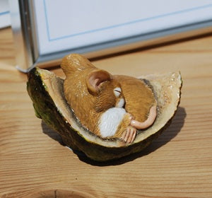 Cute Mouse sleeping in Conker shell- Quality hand painted figurine by Peakdalesculptures