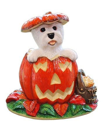 Halloween Pumpkin Westie Surprise
