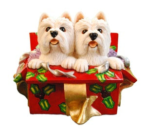 Pair of westies in Christmas Box