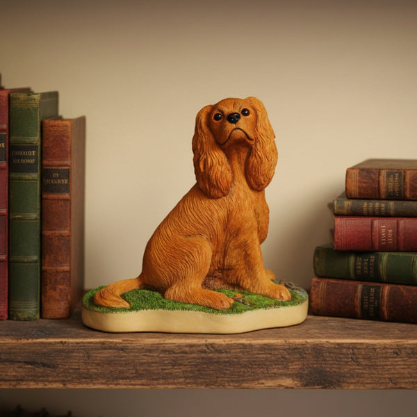 Ruby Cavalier King Charles Spaniel,