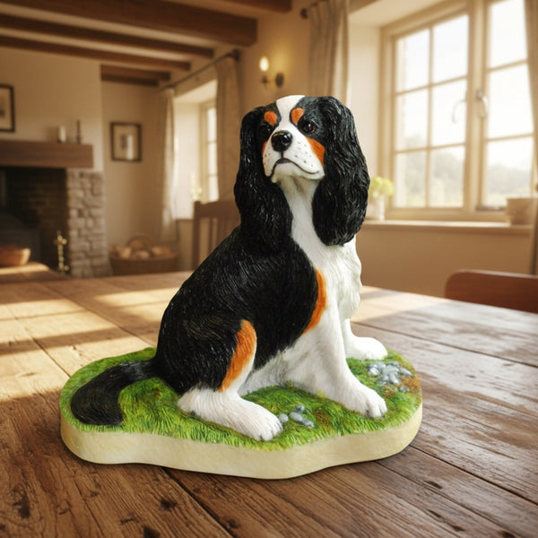 Tri Cavalier King Charles Spaniel