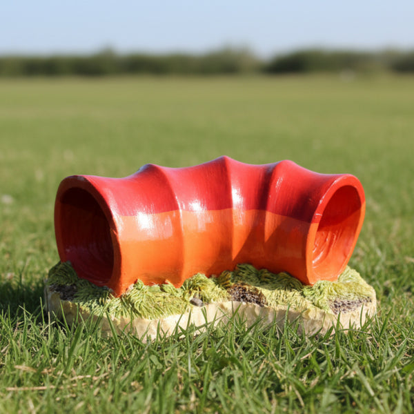 A trophy featuring a red and orange tube tunnel design and green grass-like texture on the side.