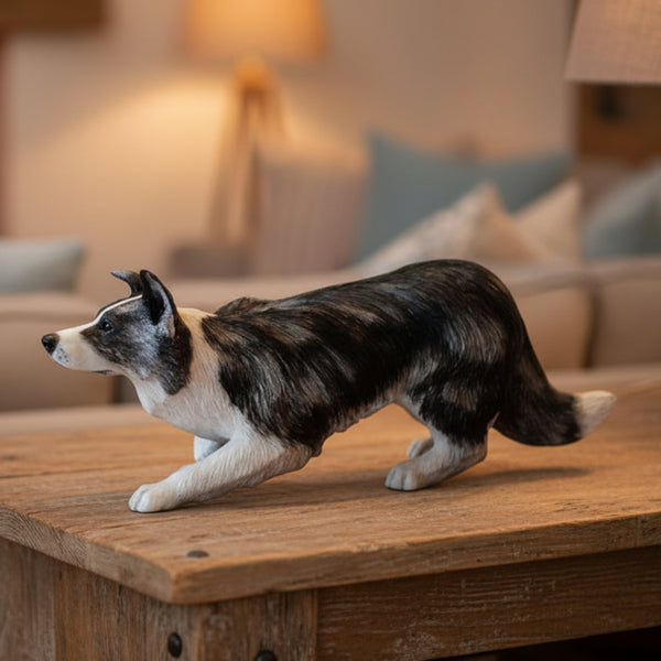 Blue Merle Border Collie Working