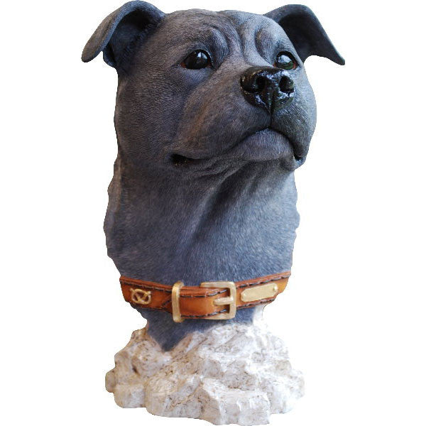 Staffordshire Bull Terrier Head Bust Blue