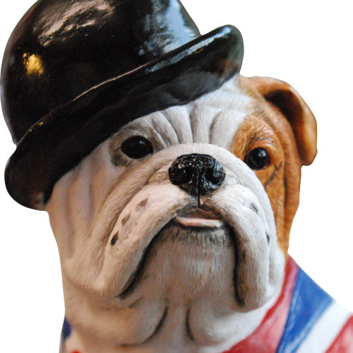 British Bulldog wearing Union Jack waistcoat