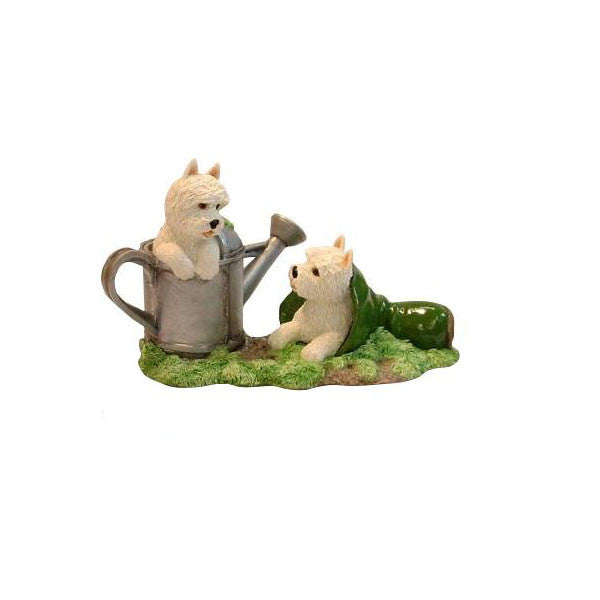 Garden Westie Pups playing without base.