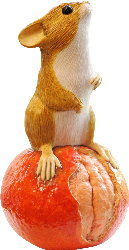 Mouse on Orange