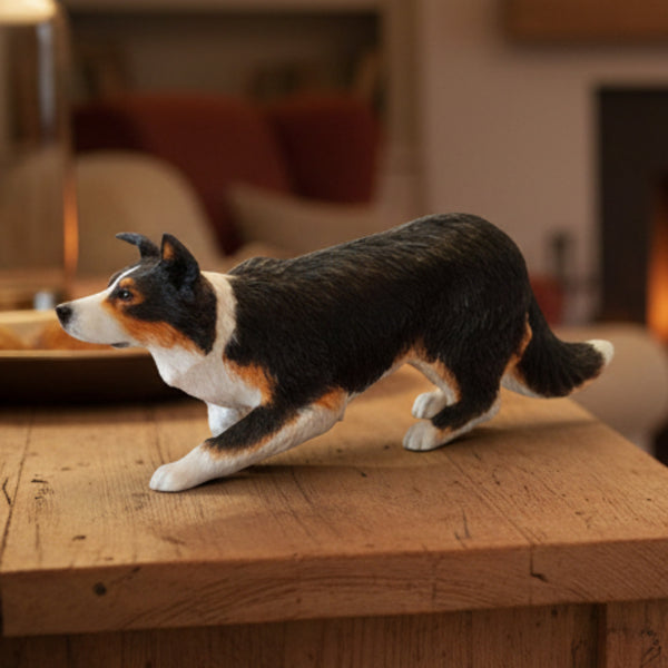 Tri-colour Border Collie Statue