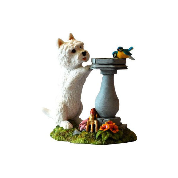 Westie at water fountain without base